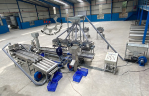 Équipement intelligent de décorticage de noix de cajou à haute productivité TTQ de Ho Chi Minh City, grande capacité, 380V, 0,75-16kW, Nouveauté 2024 - Product Image 5
