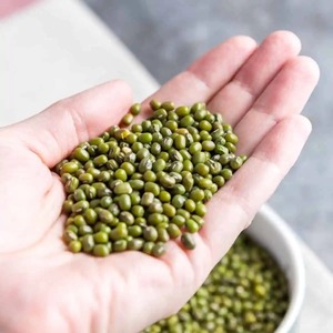 Frijoles Mung Secos Orgánicos Puros, Envasados en Paquetes Personalizados, con Preparación Limpia y Suministro Confiable para Importación - Product Image 2