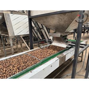 Línea de Alimentación de Anacardos de Acero Inoxidable con Elevador Transportador para Bandejas de Secado - Product Image 2