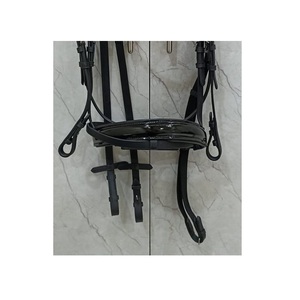 Brida Inglesa de Cuero Charol Negro con Diadema de Cristal Transparente Radiante y Herrajes de Acero Inoxidable para Equitación en 4 Tamaños LLT - Product Image 2