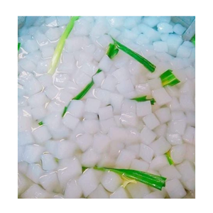 เยลลี่มะพร้าวในน้ำเชื่อม นาตา เดอ โคโค่ แบบก้อน สำหรับตกแต่งขนมหวาน ชานมไข่มุก โยเกิร์ต ไอศกรีม ผู้จัดจำหน่ายจากเวียดนาม - Product Image 5