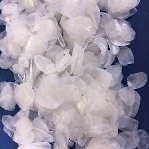 เกล็ดปลาแห้งคุณภาพสูง ผลิตภัณฑ์อาหารทะเลพรีเมียมสำหรับการส่งออก - Product Image 1