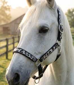 Harnais en nylon pour cheval de haute qualité, durable et tendance, accessoires de bride en cuir de mouton, selle anglaise Rub International - Product Image 1