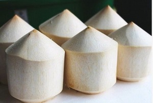 Bebida Refrescante de Coco con Diamantes de Primera Calidad, Origen Vietnam, Pedidos al por Mayor con Precio Competitivo - Product Image 4