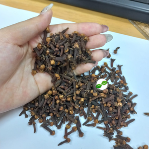 กานพลูแห้ง ยี่ห้อโกลบอล อะโกร โคโมดิติ อายุการเก็บรักษา 2 ปี ขั้นต่ำสั่งซื้อ 1 ตู้คอนเทนเนอร์ พร้อมจัดส่งไปยังอินเดีย อาหรับ สหรัฐอเมริกา และทั่วโลก คุณภาพดีที่สุด - Product Image 1