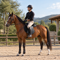 Selle de cheval d'endurance |   Selle de randonnée légère et confortable, équipement équestre durable pour l'équitation longue distance