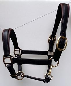 Haute qualité en cuir roulé cheval licou anglais Western Styles bride selle polyvalent cheval équipement personnalisé couleur et Logo - Product Image 5