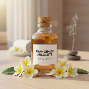 M.K. Aceite Absoluto de Frangipani EXPORTS 1000ml 100% Puro y Natural, Aceite Esencial de Plumeria Alba Extraído con Solvente - Product Image 3
