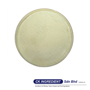 ผงน้ำองุ่นเขียวมัสกัตขายดี คุณภาพพรีเมียม ฮาลาล รับผลิตแบบ OEM สำหรับธุรกิจ B2B ซัพพลายเออร์ชั้นนำ รสชาติองุ่นอร่อย วัตถุดิบสำหรับเครื่องดื่ม - Product Image 3