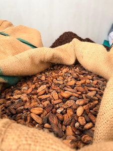 Fèves de cacao naturelles fermentées, nettoyées et torréfiées, qualité supérieure, saveur chocolat riche, fournisseur en gros, marque Enterenprise - Product Image 4