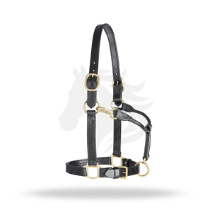Harnais de cheval en cuir de qualité supérieure, réglable, avec quincaillerie en laiton, collier équestre durable - Product Image 1