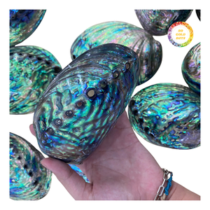 Eco-Friendly Polished <b>Abalone</b> <b>Shell</b> Green Tone - Product Image 5