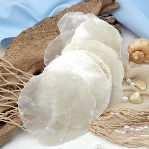 Conchas de capiz naturales, discos planos redondos sin agujeros, precio bajo, suministros para artesanía y joyería de conchas marinas - Product Image 1
