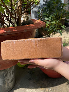 Bloque de Turba de Coco Premium Eco2go Vietnam |   EC <0.5mS/cm pH 5.8-6.8 |   Coco de Fibra de Coco Lavado con Relación de Compresión 5:1, Ligero - Product Image 4