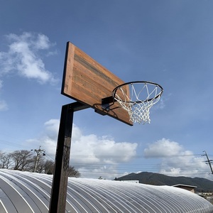 Redes de Baloncesto Profesionales al por Mayor, Redes de PE Resistentes, Personalizadas, de Alta Calidad, Duraderas, de Malla de Nailon, Equipamiento para Canchas - Product Image 2