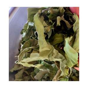 Hojas de Taro Secas de Alta Calidad, Hojas de Taro Secas al Sol, Tamaño Grande, Paquete Personalizado 100GR 200GR 1000GR, Hoja de Taro en Oferta - Product Image 2