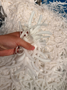 Fabricant vietnamien de viande de noix de coco surgelée IQF, viande de noix de coco fraîche et naturelle, approvisionnement en vrac, exportation - Product Image 6