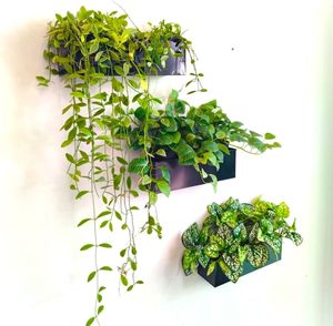 Jardinière murale moderne en métal noir pour intérieur, extérieur, maison, jardin, balcon, pot de fleurs décoratif pour la maison, lot de 3 - Product Image 4
