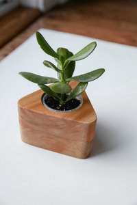 Reliable Manufacturer Outdoor Weather Resistant Fir Wood Flower Planter Container for Patio Deck Porch <b>Garden</b> Landscaping <b>Supply</b> - Product Image 5