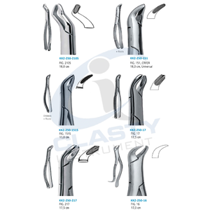 Pinzas de Extracción de Acero Inoxidable Duraderas de Alta Calidad, Herramientas Dentales Profesionales Manuales de Clase I, Instrumentos para Uso Clínico - Product Image 5