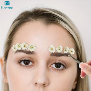Ensemble de pinces à épiler de précision en acier inoxydable, pour le modelage des sourcils et l'élimination des poils incarnés, avec pointes inclinées et courbées - Product Image 5