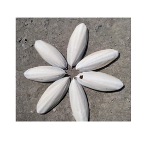 ก้างปลาปลาหมึกอบแห้งผลิตจากเวียดนาม - Product Image 5