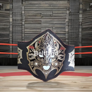 Jeff Hardy NEW Championship Ceinture Adulte Taille 2mm 4mm Zinc - Product Image 1