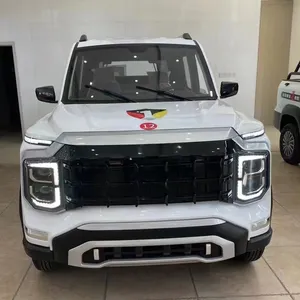 中国迷你电动卡车4x4高性能长交货电动货物皮卡