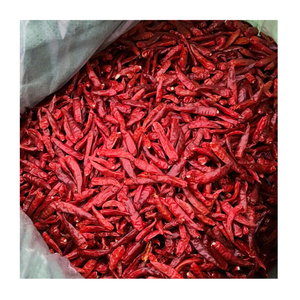 Piments séchés de qualité supérieure, entiers et rouges, pour la vente en gros et la distribution internationales - Product Image 1
