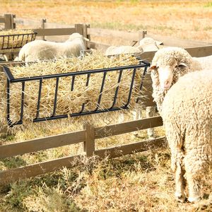 Mangiatoia per Fieno in Acciaio Resistente per Cavalli, Lunga 103 cm, Montaggio a Parete, Mangiatoia per Capre, Grande Capacità, Alimentazione Multilaterale, Nuova Condizione - Product Image 4