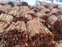 Vente directe d'usine de cannelle cassée Cassia du Vietnam épices simples et herbes