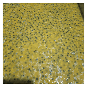 Purée de fruit de la passion surgelée IQF avec pépins, préparée à partir de pulpe de fruit de la passion naturelle pour la préparation de smoothies et de desserts - Product Image 6