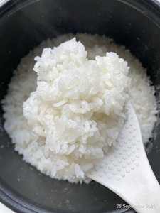 ผู้ผลิตข้าวญี่ปุ่นสำหรับซูชิ บรรจุถุง PP ขนาด 25 กก. สำหรับขายส่งและผู้นำเข้า - ข้าววิลาโคนิค (จอยซ์) - Product Image 6