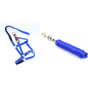 Equipo equino ecuestre de nailon resistente estilo sillín inglés ajustable con brida de caballo duradera - Product Image 2