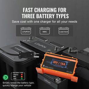 Caricabatterie Intelligente per Golf Cart 36 Volt 18 AMP con Spina Crowfoot Compatibile AGM/GEL/EFB MF, Cassa in Alluminio per Club Car Crowfoot - Product Image 2