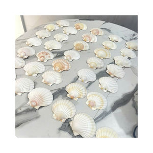 Coquilles Saint-Jacques Naturelles Premium pour la Décoration en Gros et les Fournitures d'Artisanat DIY - Product Image 1