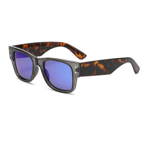 Gafas de Sol de Diseño para Hombre, Montura TR90 Casual, Lentes Polarizadas TAC, Modelo 2026, Modernas para Mujer, Actividades al Aire Libre - Product Image 5