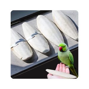 TENDANCES ACTUELLES Os de Seiche Propre et Riche en Calcium Idéal pour l'Entretien des Becs d'Oiseaux et la Fabrication de Moules de Bijoux DIY - Product Image 3