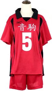 Uniforme de Voleibol para Cosplay, Camiseta y Pantalones Cortos - Product Image 2