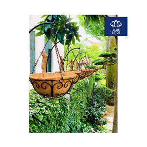 MUY SOLICITADO: Maceta de Fibra de Coco Ecológica, Segura y Limpia, Fibra de Coco Pura, Artículo Biológico Ideal para el Cultivo de Plántulas y Viveros, Precio Directo - Product Image 1