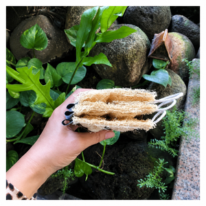 Vietnam Dried Luffa Fiber Shower Sponge for Bath <b>Scrub</b> Bathroom Cleaning Hotel Use and Wholesale Export Supply - Product Image 2