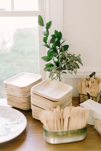 Sustainable <b>Disposable</b> <b>Plates</b> for Healthy Food 10 Inches Square Shapes Restaurants and Cafes Hotel Snacks Meal <b>Plates</b> in 2026 - Product Image 1