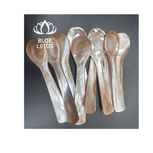 OFERTA LIMITADA Cuchara de Nácar Segura, Limpia y Ecológica 2026, Utensilio de Concha Pura Ideal para Servir Huevos y Degustar Postres, Precio Directo - Product Image 1