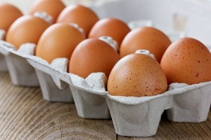 Huevos de Gallina para Cocinar, Hornear, Hervir y Procesar Alimentos - Product Image 3