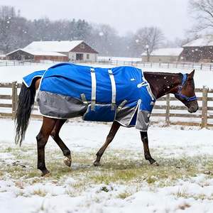 Manta de Invierno para Caballo, Manta Impermeable para Caballo 1200D, 260g, Relleno de Peso Medio, con Cubrecuello Desmontable - Product Image 3