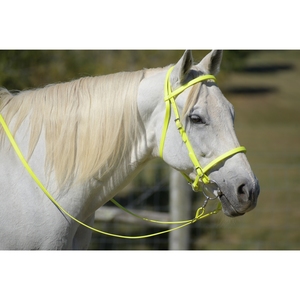 Brida Ligera para Caballos de Aventura, Juego de Cabezales de Biothane Premium al Mejor Precio de Proveedor de India - Product Image 4