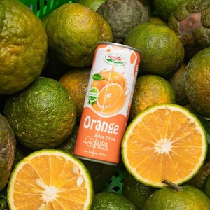 Fabricante de Jugos Nawon, Jugo de Naranja Enlatado de 320 ml, Jugo Tropical de Vietnam, Bebidas Refrescantes, Marca Privada OEM, Proveedor de Jugos de Frutas - Product Image 2