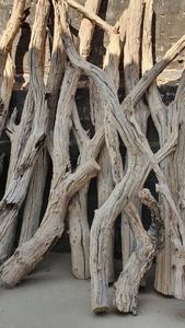 โคมไฟโต๊ะไม้ที่ดริฟท์วู้ด - Product Image 2