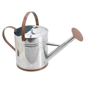 Arrosoir en métal de taille compacte pour plantes d'intérieur, durable, léger, résistant à la rouille, avec une longue buse pour un arrosage facilement contrôlé - Product Image 1