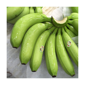 Meilleures bananes vertes Cavendish 100% de haute qualité, frais et à prix avantageux - Product Image 6